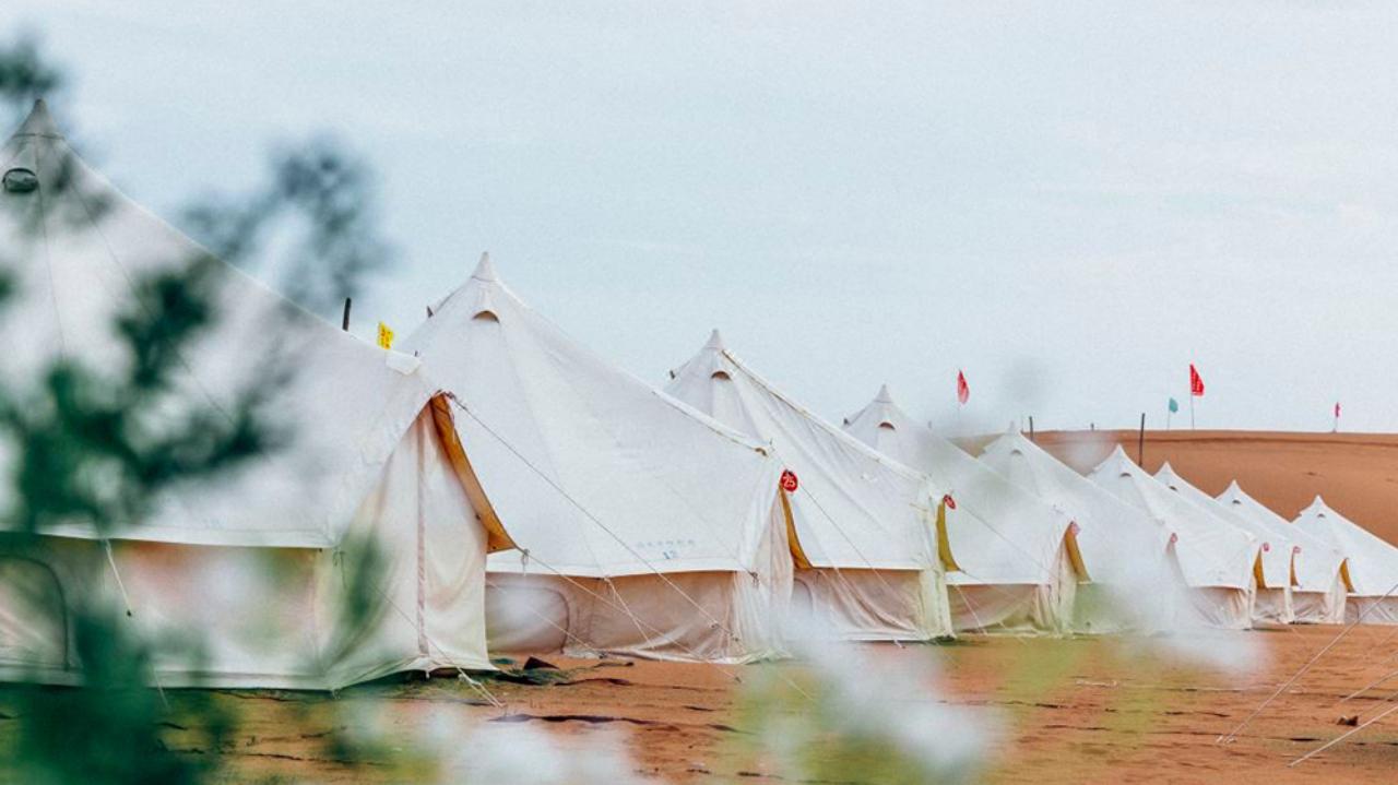 沙坡头2 沙坡头2